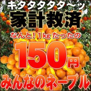 家計救済みんなの150円ネーブル 訳あり・不選別・ご家庭用