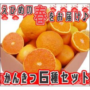 ★2倍でおトク！お試し♪春の6種かんきつセット　スペシャル【送料無料】