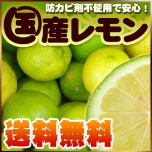 瀬戸内産　国産レモン2kg【送料無料】傷あり・不揃い