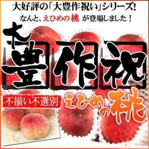 大豊作祝い桃!不選別・不揃いですがご自宅用に最適!【訳あり】...