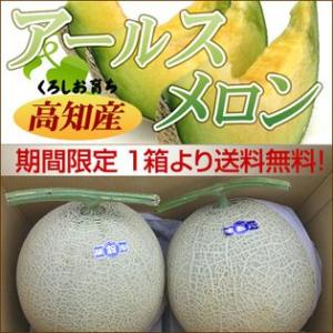 高知県産　訳ありアールスメロン　2玉入【送料無料】