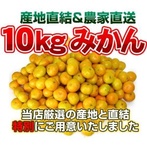 最安値に挑戦！訳ありみかん10ｋｇ　温州　【送料無料】訳あり