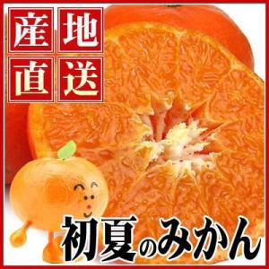 愛媛産カラ・マンダリン5kg【送料無料】【訳あり】...