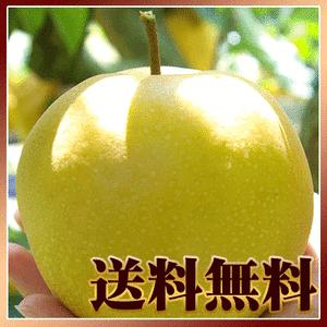 今だけ1kg増量で合計5kg　幸水梨4kg【送料無料】