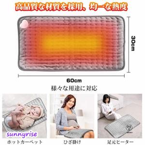 クーポン対象 電気カーペット ホットカーペット...の詳細画像2