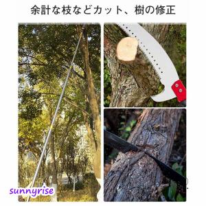送料無料 高枝切りバサミ 高枝切鋏 5段伸縮式...の詳細画像3