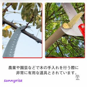 送料無料 高枝切りバサミ 高枝切鋏 5段伸縮式...の詳細画像5