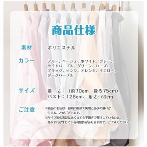 シアーシャツ 透け感 レディース ブラウス 長...の詳細画像3
