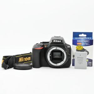 ニコン Nikon D5600 一眼レフカメラ DX VR AF-P NIKKOR 18-55mm 1:3.5
