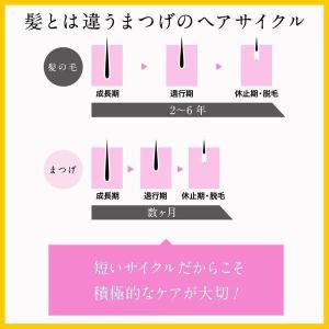 DHC エクストラビューティ アイラッシュトニ...の詳細画像4