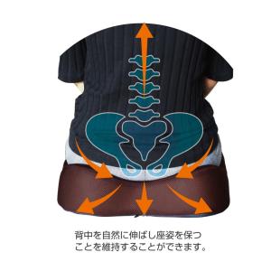 エルゴクッション ネイビー 腰痛 低反発 椅子...の詳細画像2