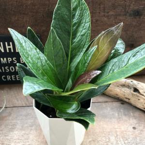 テーブル 花台 飾り台 螺旋状 3段 飾り棚 サイドテーブル アンティーク