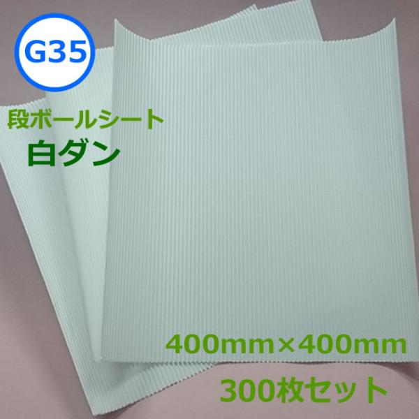 白ダン ( 片段 ) G50 ( かため ) 400mm×400mm 300枚 ( 要事業者名 個人...