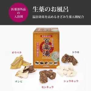 Kanebo（カネボウ） バルカン ヘアートニック 男性用 180mL