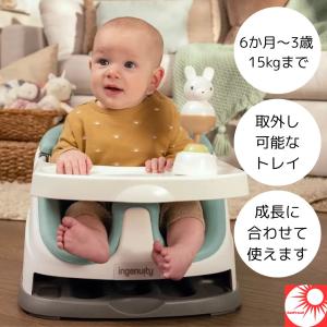 【 送料無料 】コストコ インジェニュイティ(I...の商品画像