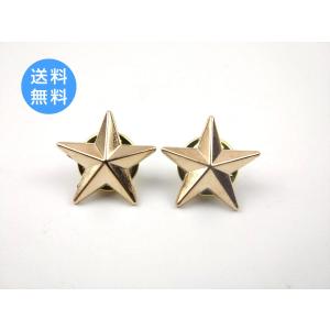 鷹 鷲 ピンバッジ ゴールド 2個セット 合金製 約2.2cm × 1.6cm 動物