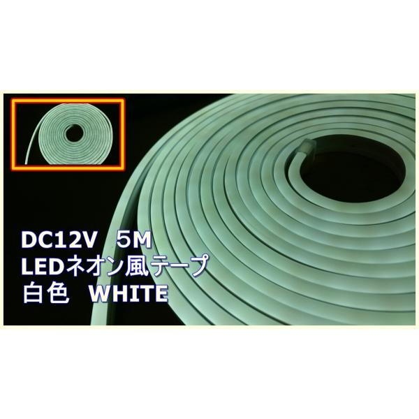 ネオン風LEDテープ　白色　ホワイト　５M　DC12V