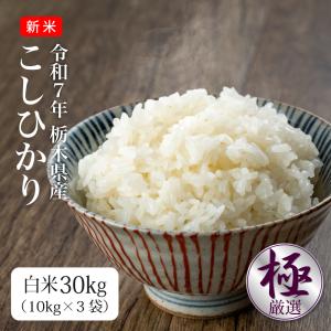 米 30kg お米 コシヒカリ 送料無料 新米 令和5年 白米 埼玉県産（北海道・九州+300円）沖縄・離島不可