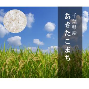 米 10kg お米 あきたこまち 送料無料 新...の詳細画像4