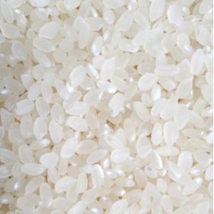 米 30kg お米 あきたこまち 送料無料 新...の詳細画像1
