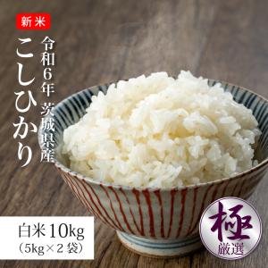 お米 10kg 米 こしひかり 新米 令和5年 5kg×2袋 埼玉県産 送料別｜sunrice