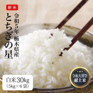 令和7年産 とちぎの星 20キロ(10Kg米袋×2ヶ) 栃木県産 とちぎの星 10kg(5kg×2袋) 【無洗米】 令和7年産 木徳神糧 米