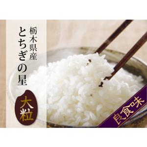 米 30kg お米 とちぎの星 送料無料 白米...の詳細画像5
