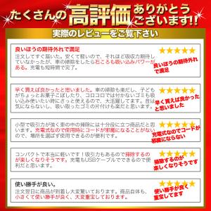 掃除機 カークリーナー ハンディクリーナー お...の詳細画像3