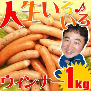 ウインナー 1kg ソーセージ お取り寄せ 国産 ソーセージ4種 ギフト 業務用 訳あり メガ お弁当 おかず お得 人気 ウィンナー 冷凍 BBQ 自家製