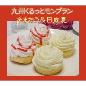 ●完売御礼●九州くるっとモンブラン【あまおう苺＆日向夏】４個入り