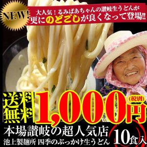 讃岐うどん 送料無料 池上製麺所 るみばあちゃん監修 讃岐生うどん１0食（5食×2パック）【メール便】【着日指定不可】【代引・コンビニ決済不可】