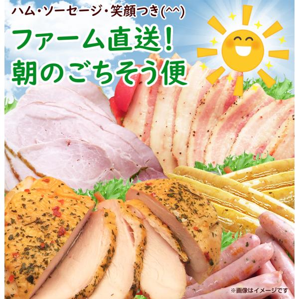 朝のごちそう便 ハム ベーコン ソーセージ 冷蔵配送 サンライズファーム自社工場直送 厳選素材使用