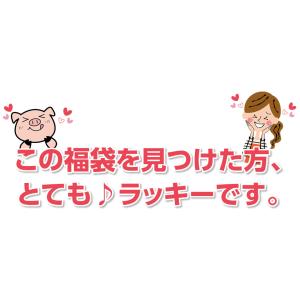 福袋 2026 食品 訳あり 肉 秘密の福袋 ...の詳細画像1