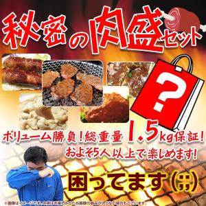 秘密の肉盛セット ボリューム勝負！総重量1.5kg保証 福袋