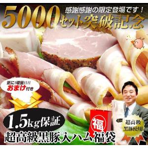 ●完売御礼●超高級黒豚入り◆1.5ｋｇ保証 ハム 福袋【送料無料】(パーティー とんとろハム バーベキュー ソーセージ  ギフト ご当地 限定 肉の日 2011　秋 味覚