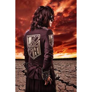 Linked Horizon / 自由への進撃...の詳細画像1