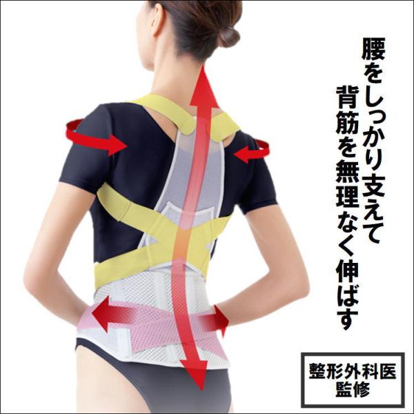 姿勢 背すじ 腰 猫背 矯正 補整 ベルト コルセット サポーター 腰痛 首 肩 背筋 骨盤 補正 ...