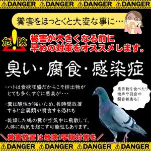 鳩よけ 効果絶大 業務用 ベランダ 鳩 撃退 ...の詳細画像3