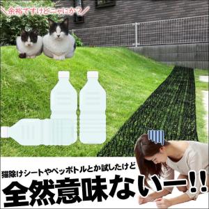 猫 猫よけ 強力 ねこよけ のらねこ 対策 便...の詳細画像4