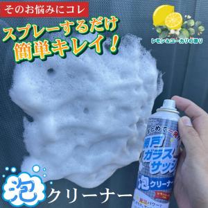 網戸 掃除 グッズ 洗剤 泡 スプレー 外用 ...の詳細画像3