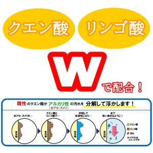 食洗機 クリーナー 庫内 洗浄 掃除 一発洗浄...の詳細画像4