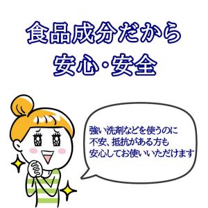食洗機 クリーナー 庫内 洗浄 掃除 一発洗浄...の詳細画像5