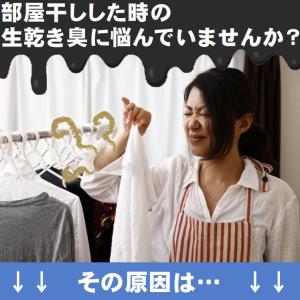 ホタテ貝殻パウダー 洗濯 生乾き臭 消す 部屋...の詳細画像2