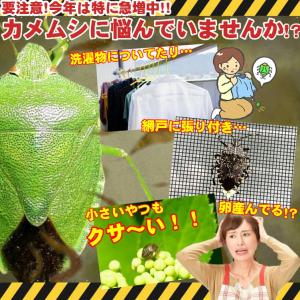 カメムシ対策 ベランダ 忌避剤 害虫 虫除け ...の詳細画像2