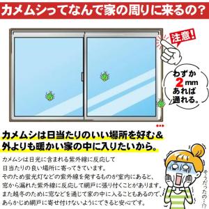 カメムシ対策 ベランダ 忌避剤 害虫 虫除け ...の詳細画像3