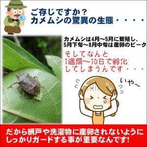 カメムシ対策 ベランダ 忌避剤 害虫 虫除け ...の詳細画像4