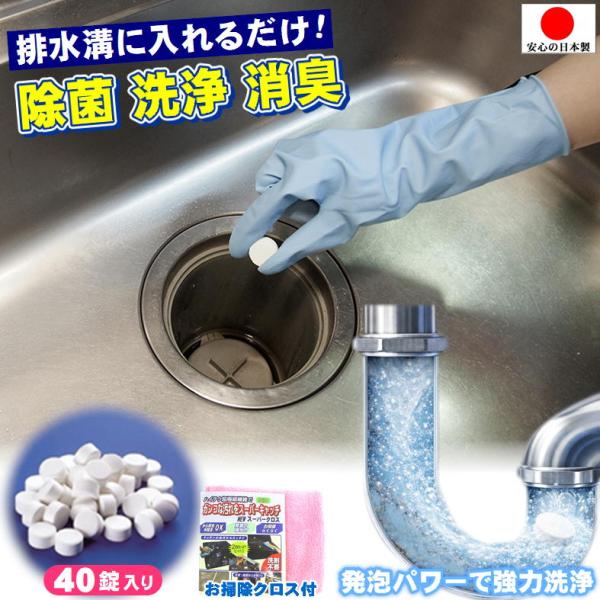 配水管洗浄剤 排水管 掃除 ぬめりとり 排水口 つまり 解消 排水溝 髪の毛 溶かす 強力 パイプク...