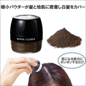 薄毛 生え際 分け目 白髪 隠し 頭皮ケア ヘアファンデーション パウダータイプ 男女兼用 ポンポン 簡単 ふんわり ボリューム 日本製 利尻と椿のPONヘアパウダー｜sunroad1