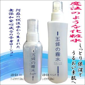 テナル NAリンクルエッセンスM 25ml 美容液 : プライスラボ
