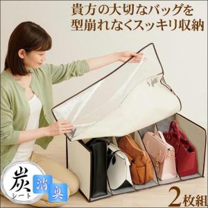 まる　収納バッグ20個 5000000079283_01.jpg